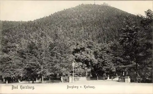 Ak Bad Harzburg am Harz, Burgberg vom Kurhaus