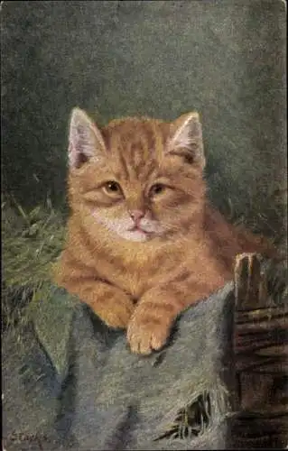 Künstler Litho Stocks, Katze, rot getigertes Kätzchen