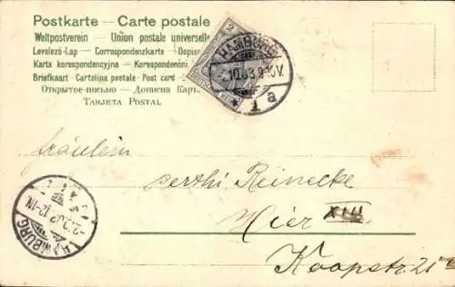 Präge Litho Glückwunsch Neujahr, Engel, Tauben