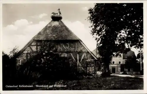 Ak Leubsdorf in Sachsen, Storchennest auf Wintershof