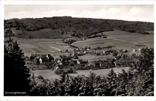 Ak Börninghausen Preußisch Oldendorf Westfalen, Blick auf  hügelige Landschaft mit Wald und Fe...