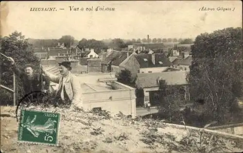 Ak Lieusaint Seine et Marne, Vue a col d'oiseau