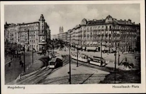 Ak Magdeburg an der Elbe, Hasselbach-Platz, Straßenbahnen