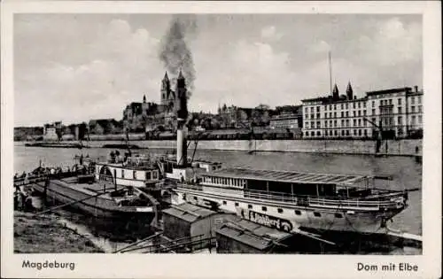 Ak Magdeburg in Sachsen Anhalt, Blick auf den Dom mit Elbe, Dampfer, Ufer