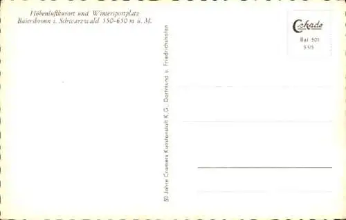 Ak Baiersbronn im Schwarzwald, Panorama, Wintersportplatz