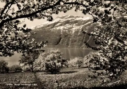 Ak Hardanger Norwegen, Panorama, Frühling