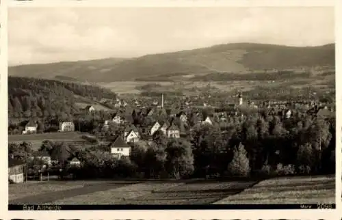 Ak Polanica Zdrój Bad Altheide Schlesien, Panorama