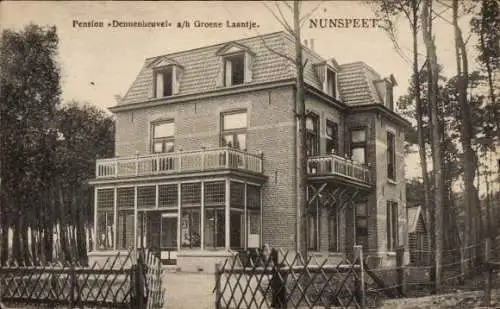 Ak Nunspeet Gelderland, Pension Dennenheuvel ah Groene Laantje