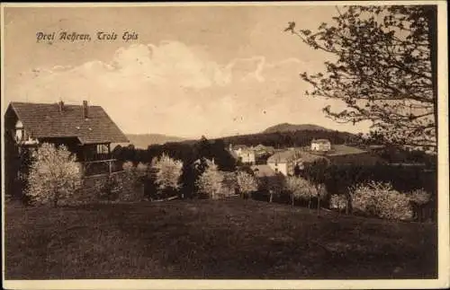 Ak Trois Épis Drei Ähren Elsass Haut Rhin, Ortsansicht