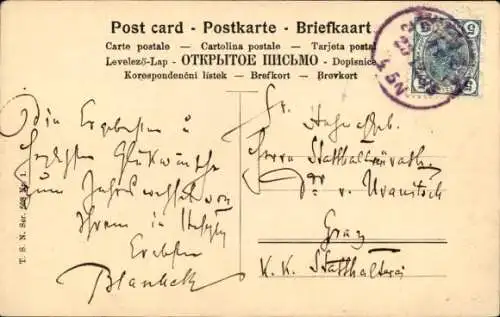 Ak Hunde, Stechpalme