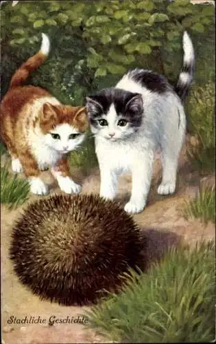 Ak Zwei Katzen und ein Igel, Stachliche Geschichte