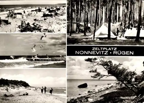 Ak Nonnevitz Dranske auf Rügen, Zeltplatz, Wald, Meer, Strand, Zelte