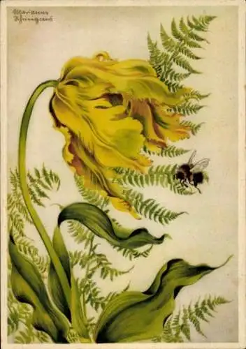 Künstler Ak Schneegans, Marianne, Blumen, Papageientulpe mit Hummel, Ackermann 10075