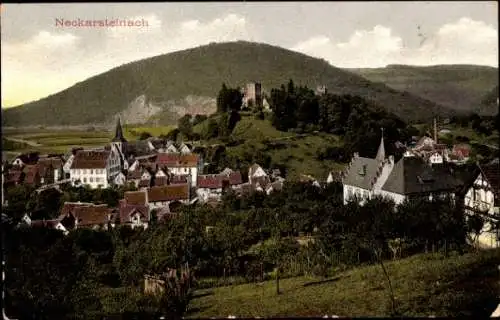 Ak Neckarsteinach in Hessen, Panorama