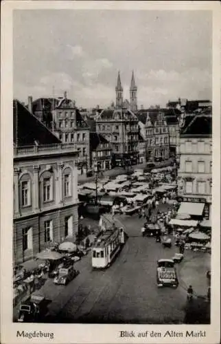 Ak Magdeburg, Blick auf den Alten Markt, Tram