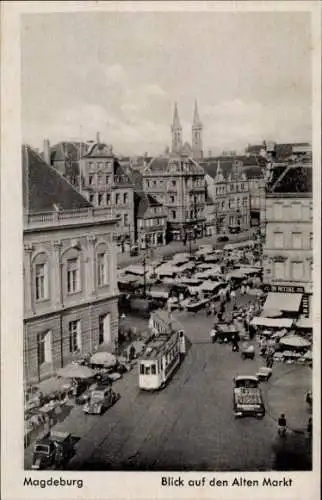 Ak Magdeburg an der Elbe, Alter Markt, Straßenbahn