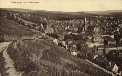 Ak Esslingen am Neckar, Panorama