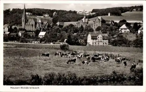 Ak Waldbreitbach an der Wied, Teilansicht, weidende Kühe, Wohnhäuser, Kirche