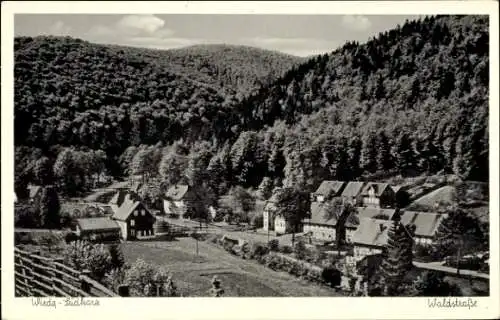 Ak Wieda Walkenried Harz, Panorama, Waldstraße