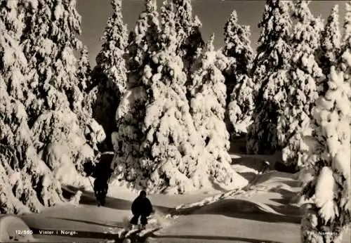 Ak Norwegen, Waldpartie, Winter, Skiläufer