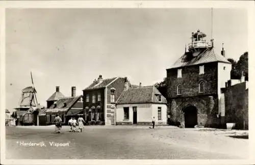 Ak Harderwijk Gelderland, Vispoort, Mill