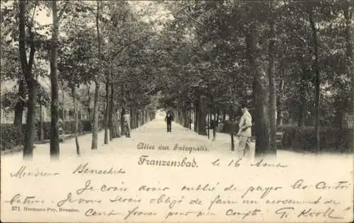 Ak Františkovy Lázně Franzensbad Reg. Karlsbad, Allee zur Salzquelle, Passanten