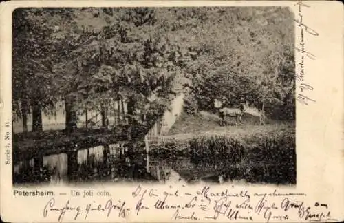 Ak Lanaken Flandern Limburg, Pietersheim