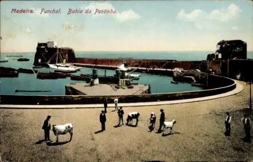 Ak Funchal Insel Madeira Portugal, Bahia da Pontinha