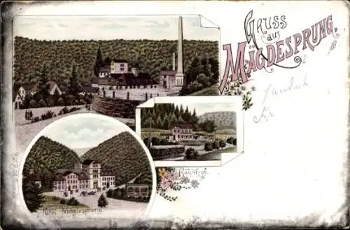 Litho Mägdesprung Harzgerode am Harz, Gesamtansicht, Bahnhof, Hotel