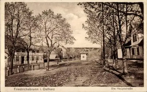 Ak Friedrichsbrunn Thale im Harz, Hauptstraße