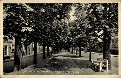 Ak Ballenstedt im Harz, Hindenburg Allee