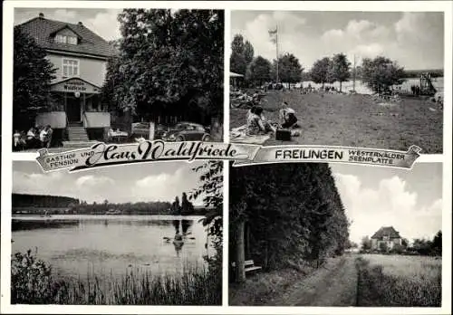 Ak Freilingen im Westerwald, Haus Waldfriede, Wegepartie, Seeblick