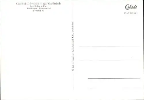 Ak Freilingen im Westerwald, Haus Waldfriede, Wegepartie, Seeblick
