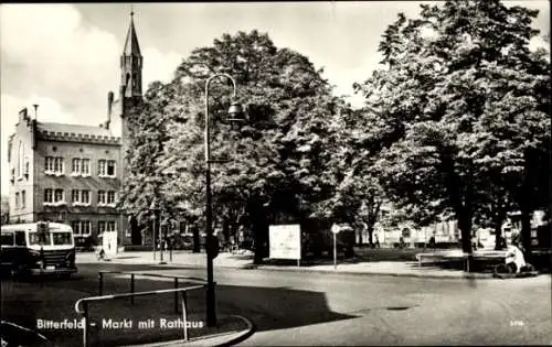 Ak Bitterfeld in Sachsen Anhalt, Markt mit Rathaus, Bus