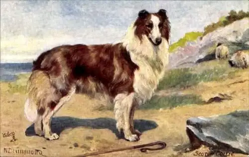 Künstler PC Scotch Collie