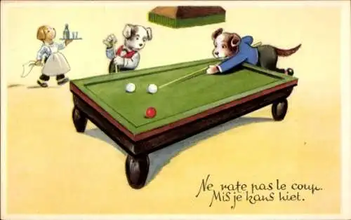 Ak Ne rate pas le coup. Mis je kans hiet, Hunde spielen Billard