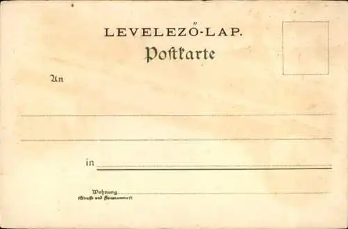 Litho Lindau am Bodensee Schwaben, Gesamtansicht, Hafen, Leuchtturm, Rathaus