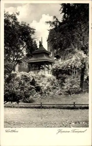 Ak Cottbus Brandenburg, Blick auf den Japan Tempel, Garten