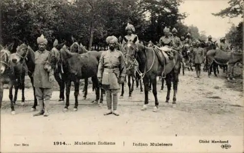 Ak Muletiers Indiens, indische Soldaten, Pferde