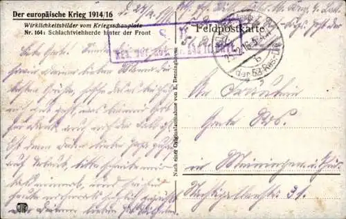 Ak Wirklichkeitsbilder vom Kriegsschauplatz, Schlachtviehherde hinter der Front, I WK