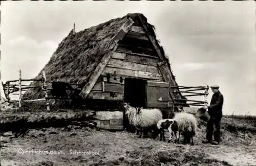 Ak Openluchtmuseum, Schaapskooi, Bauer, Schafe, Bauernhof