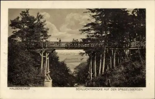 Ak Halberstadt am Harz, Schluchtbrücke, Spiegelsbergen