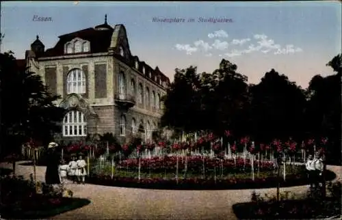 Ak Essen im Ruhrgebiet, Rosenplatz im Stadtgarten