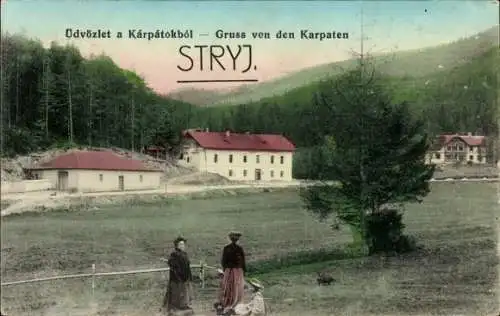 Ak Stryj Stryi Ukraine, Gruß aus den Karpaten, Panorama