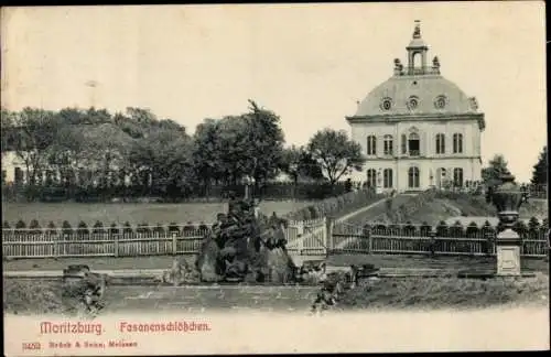 Ak Moritzburg in Sachsen, Fasanenschlösschen