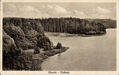 Ak Ruciane Nida Rudczanny Nidden Niedersee Masuren Ostpreußen, See, Waldpartie