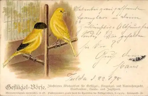 Litho Geflügel-Börse, Illustrirtes Wochenblatt für Geflügel-, Singvögel- und Kaninchenzucht