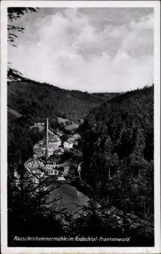 Ak Schwarzenbach am Wald Oberfranken, Rauschenhammermühle im Rodachtal