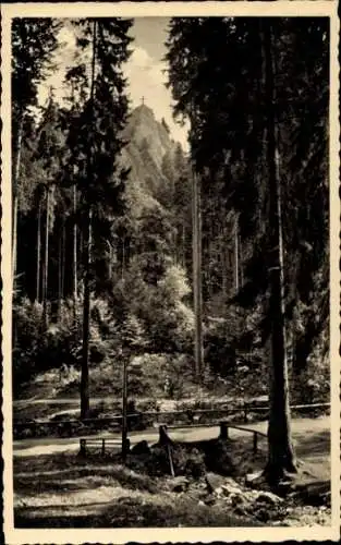 Ak Tabarz im Thüringer Wald, Partie im Lauchagrund mit Aschenbergstein