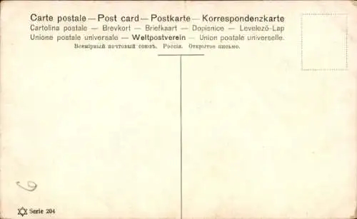 Ak Zwei schwarze Pferde, Tierportrait